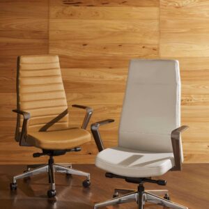 Office Chair Fort Collins CO