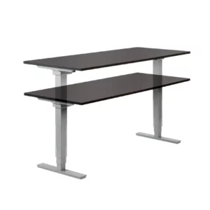 Electric Adjustable Desk
